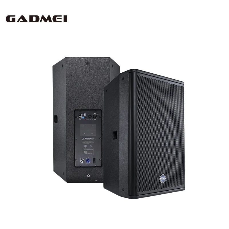 MORIN DSL-15 for  15 Inch Build in Power Amplifier Module Active PA Speaker Sound System  Professional Audio Full Range Speakers