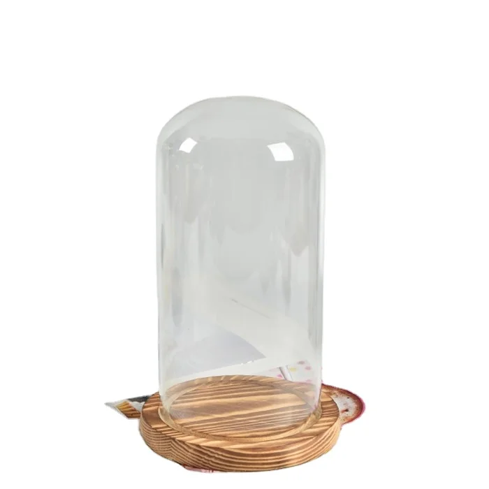 PATIKIL Cupola Di Vetro Trasparente Con Base In Legno – 20x9 Cm, Cloche Per Esposizione, Campana In Vetro Borosilicato Per Piante, LED, Decorazioni Casa