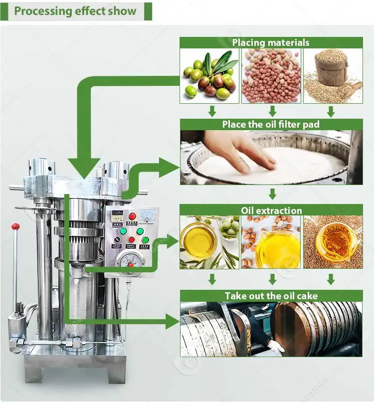 Ground Nut Pressing Walnut Press Presse a Huile Hydraulique Pumpkin Seed Oil Extraction Machine