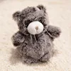Gattino