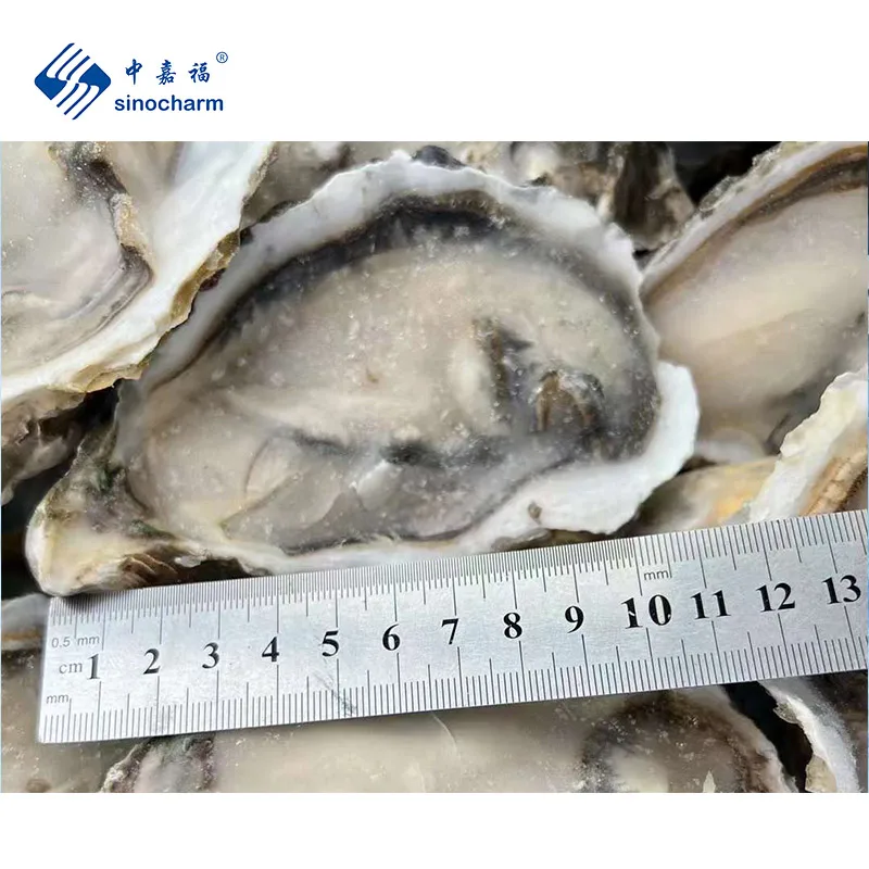 Sinocharm Brc批准10 12厘米无沙海鲜iqf半壳牡蛎冷冻牡蛎 Buy 英国零售商协会批准冻结牡蛎 无砂海鲜 Iqf半壳牡蛎product On Alibaba Com