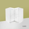 LS33