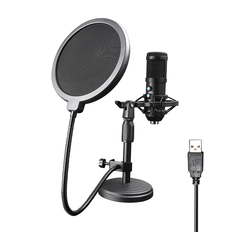 Weston Low Price Mic Condenser Microphone Studio Recording