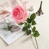 rose profond