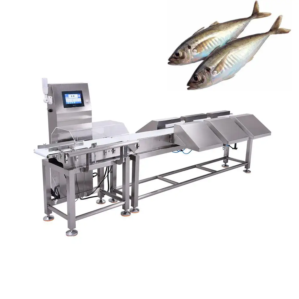 Custom High Speed and High Precision Digital Sorting Weighing Scale Automatic Checkweigher Weight Sorter Machine for Frozen Fish
