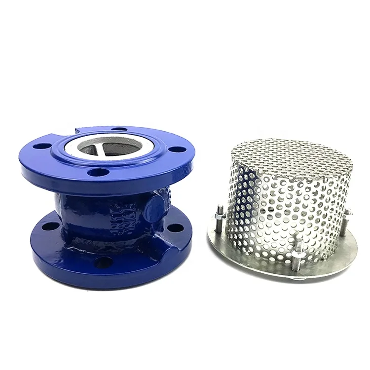 Ductile Iron Iso Standard Flange Type 6" Diameter Foot Valve