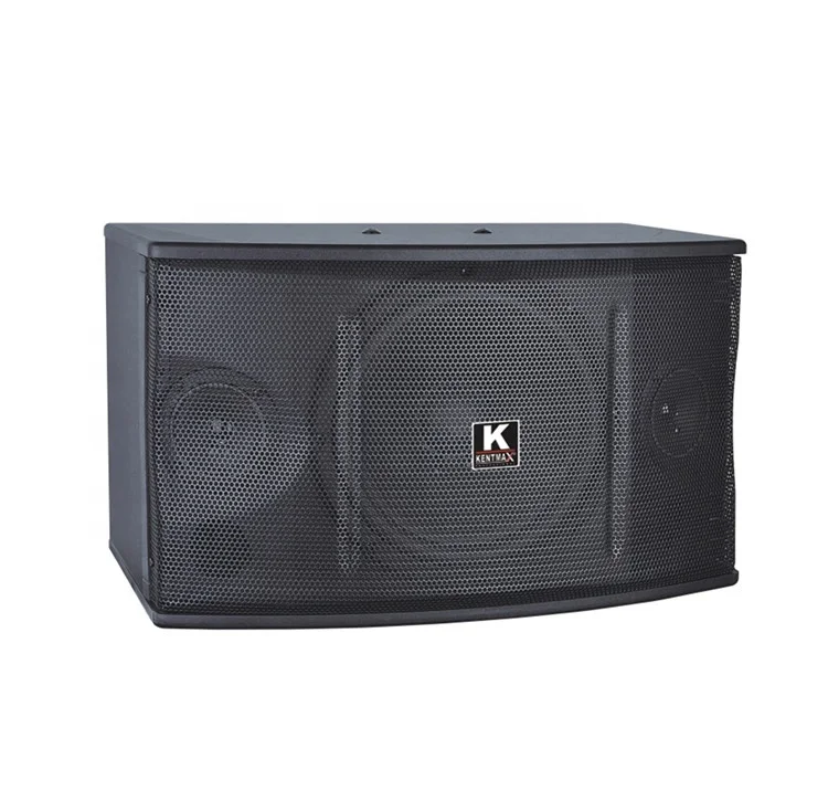 Good Sound DJ Speaker Box with Competitive Price