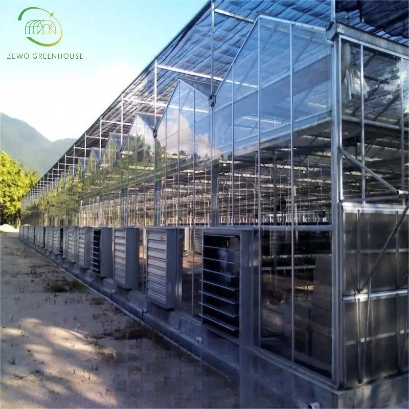 High Quality Modern Venlo Polycarbonate Glassgreenhouse Multispan Commercial Pc Sheet