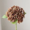 Mahogany