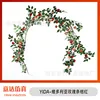 Victoria Rose Stripe [Orange-Red]