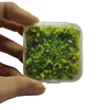 colorful Yellow - mo small box pack
