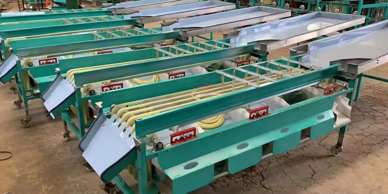 Fruit Blueberry Blueberries Sorting Grading Machine Sorter Grader Machine Line Classifying Machines