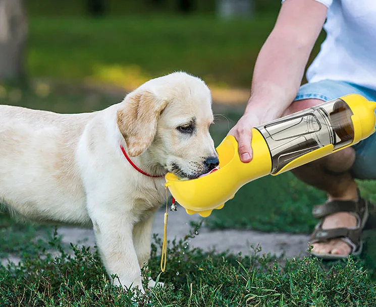 Secure Pet Water Cup Outdoor Travel Walking Pet Water Bottle with Food  Storge Dog Water Bottle for Dogs Portable Poop Scoop - China Dog Water  Bottle and Dog Water Bottle Portable price