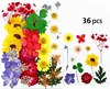 M031-10   เอ็ม031-10