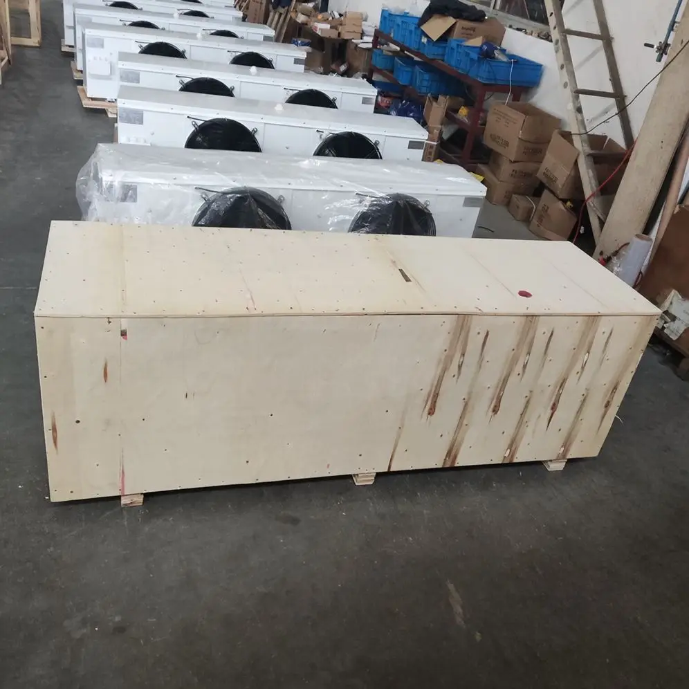 Unit Cooler, DLE-5.8/30, 5.8kw, Ceiling - detail 10
