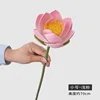 Small Light Pink Lotus