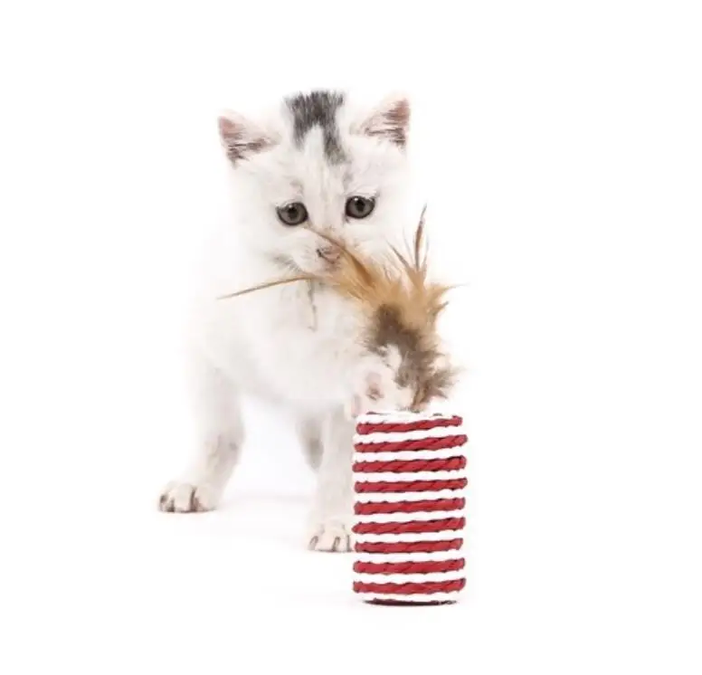 
Имитация кошачьей мяты, игрушка для кошек, альтернативный смешной игровой набор, подарок, игрушечный набор для кошек 