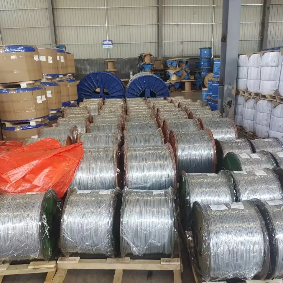 Steel Wire Price 6x7/7x7/6x9/6x19/7x19/6x36 Rod Stainless/carbon Steel