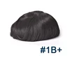 #1B