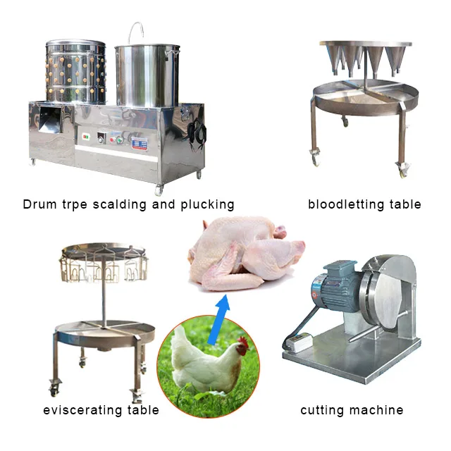 Small Capacity Chicken Slaughter With Boiler Chicken Meat Processing Scalder / Chicken Dressing Machine