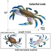 Crabe-4030