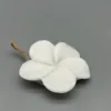 Berenjena
