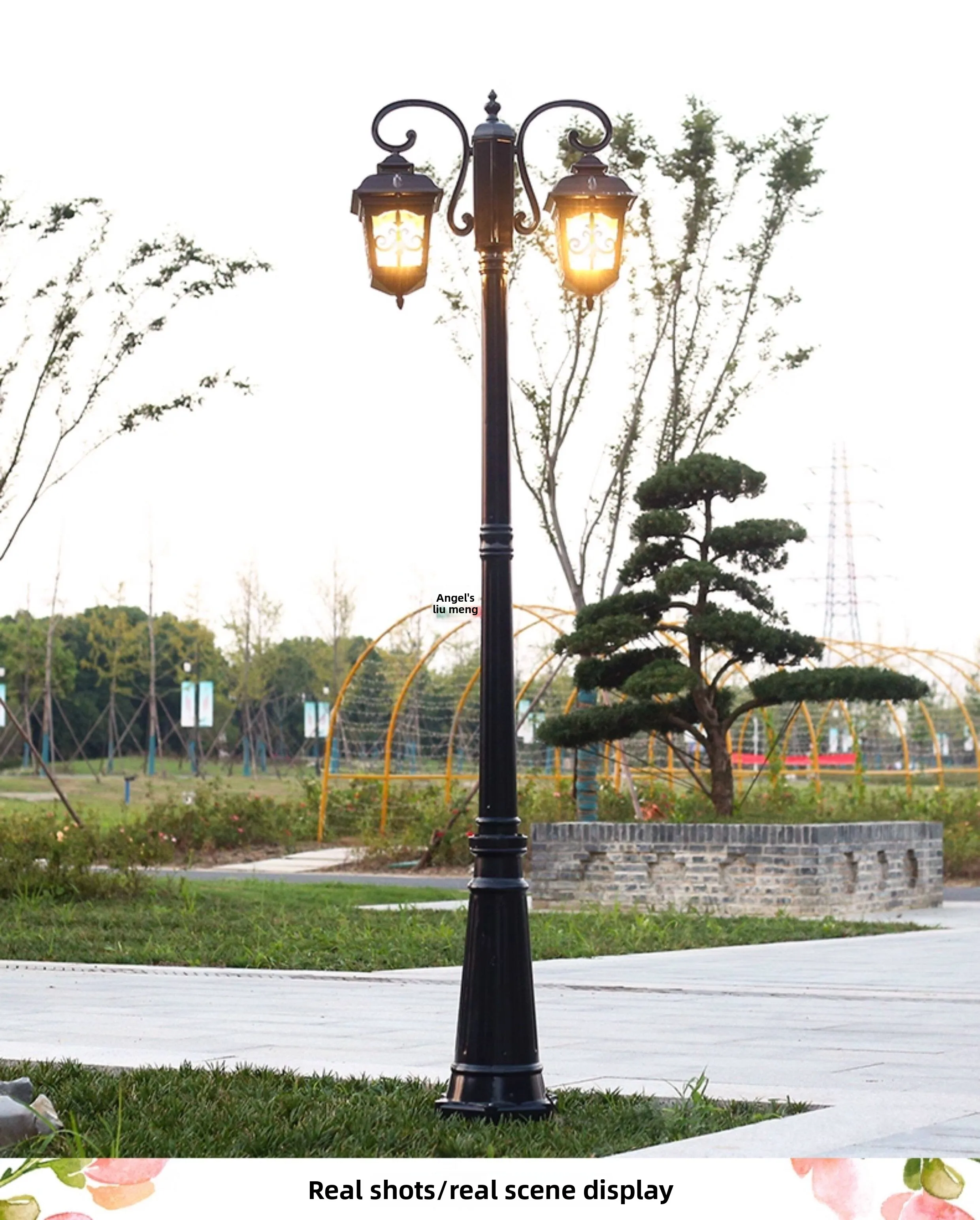 Scene image