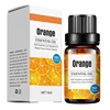 Sweet orange
