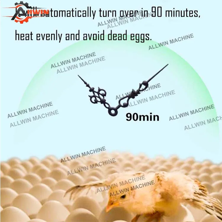 Fully Automatic Farmed Egg Incubator/hatching 1232 Egg/egg Incubator Multifunction Chicken Plucker Machine 2 Hours Automatically