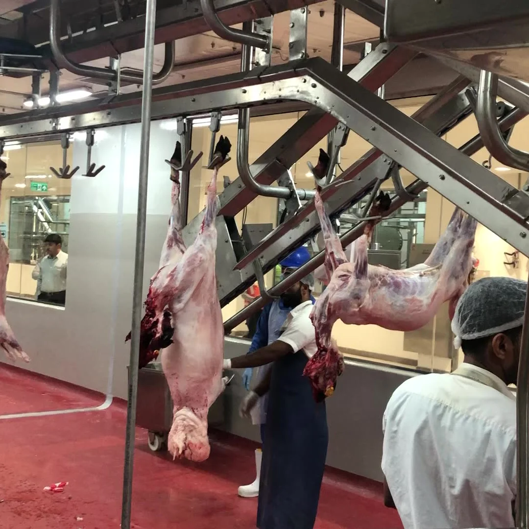 Automatic live goat lamb ram african slaughtering machine slaughterhouse