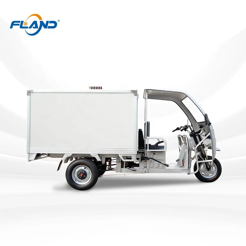 Refrgerated Tricycle Refrigerator Frozen Tricycle Reefer with Cooler Box