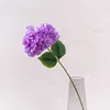 branche violet foncé