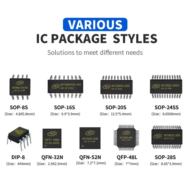 WTN6040FP-14S Voice Ic Support One-Line/Two-Line Serial Port Voice Recognition Ic Melody Chip for Toy