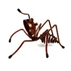 Pequeña hormigas rojas ()