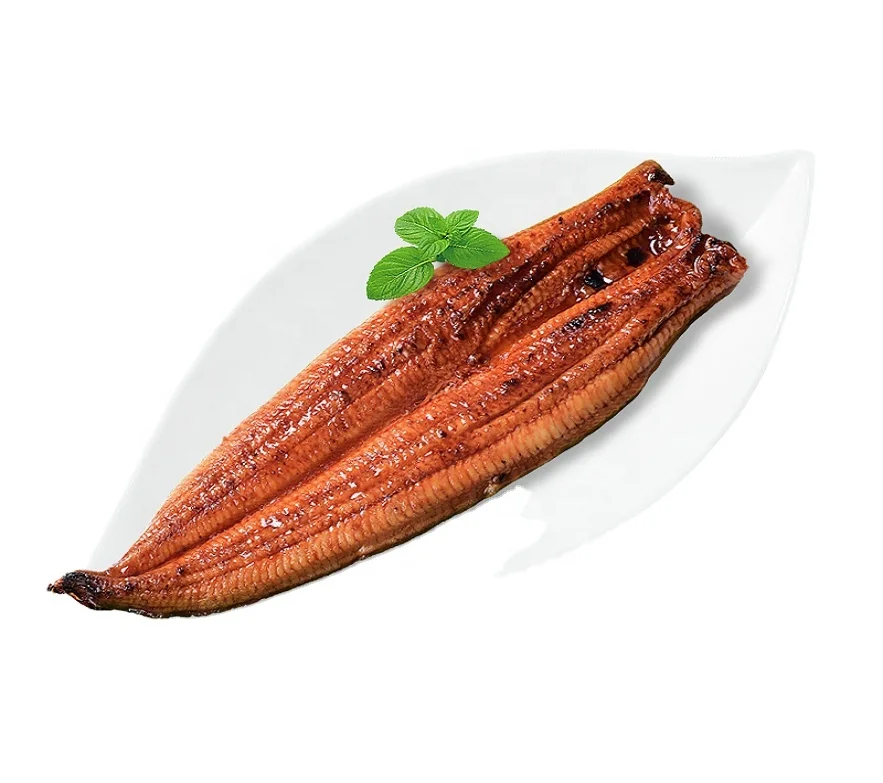 frozen roasted eel unagi kabayaki live freshwater eel anguilla