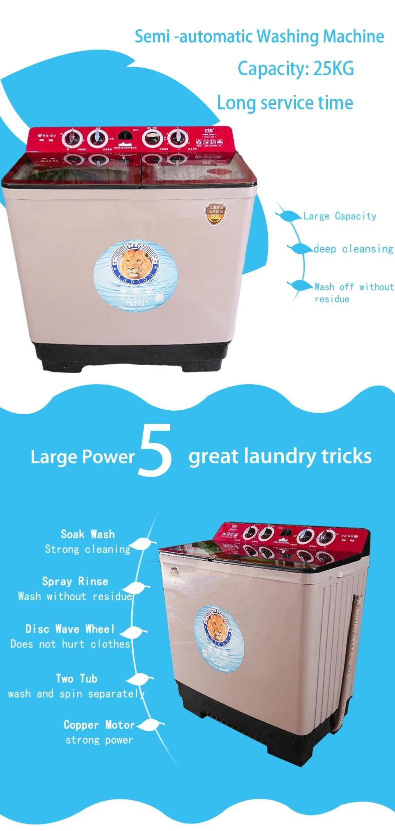 Household National English Panel Ce Rohs Large 25kg Twin Tub Washing