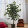 Piccoli alberi