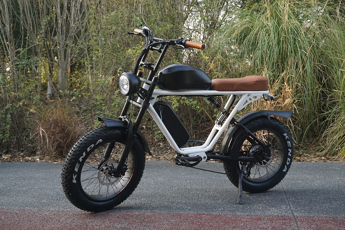 MATE モトル　20インチ 新しい商品 V20 SUPER73 MATE 系2024最新品1000W