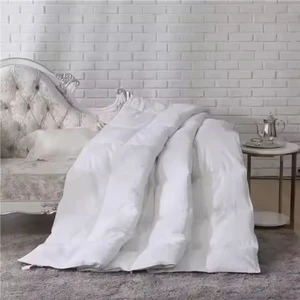 White Goose Down Comforter Hot Selling Hotel Summer Down Quilt Comforter Queen king Size Duvet Quilts for Sale