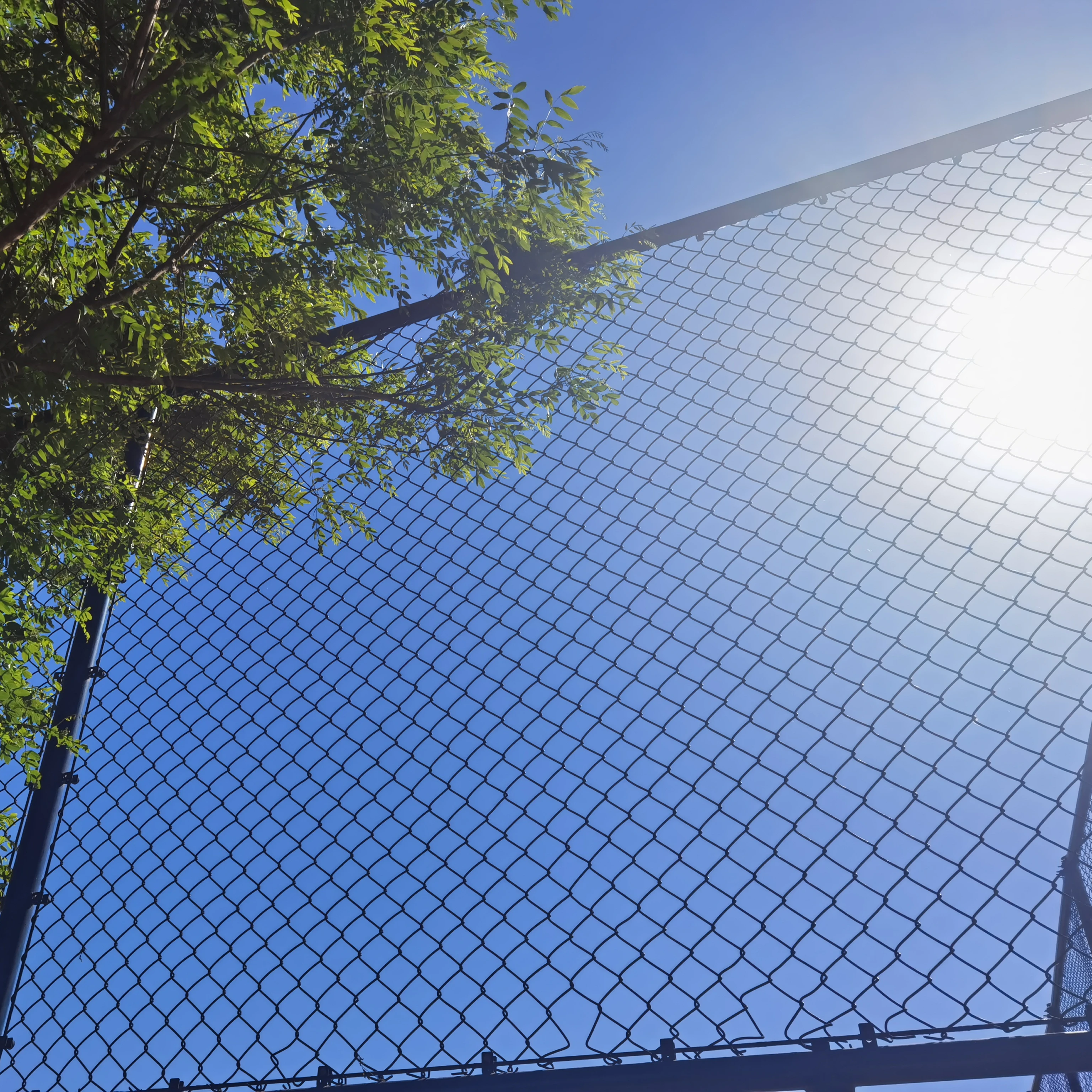Pvc Coated Chain Link Iron Wire Mesh Fence Post / 6ft 7ft8ft Galvanized Diamond Mesh Wire Fencing Tortoise Fence