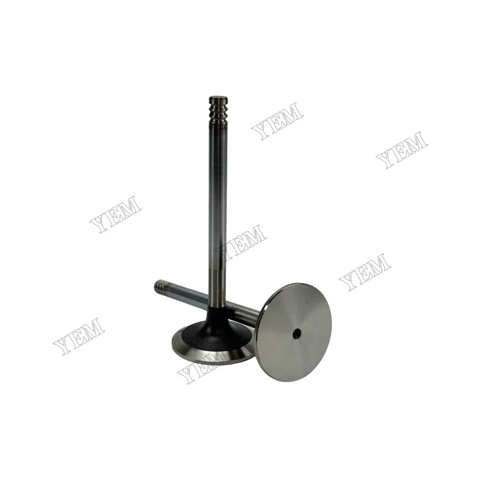 Intake Valve Fit for Deutz TD2.9L4 Engine 3