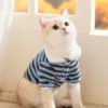 สีฟ้า