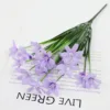 Ahb1912-160-5 violeta