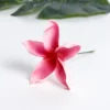 #9 rosa