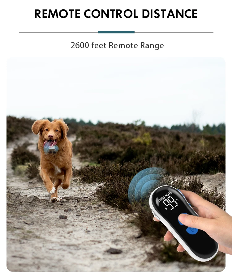 New Arrival 2600 Feets Wireless Charging Anti Bark Dog Shock Collar E