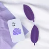 Viola