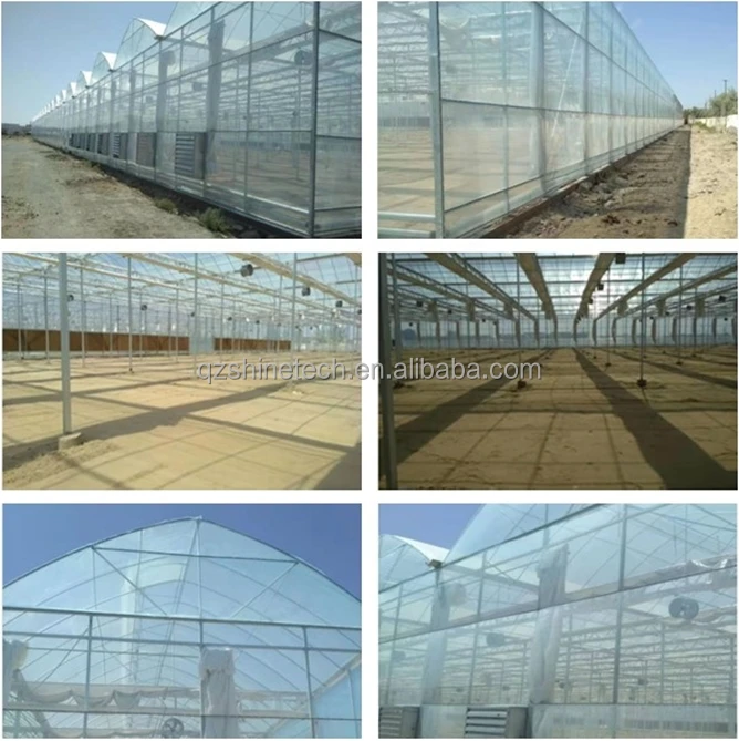 Multi-span film greenhouse