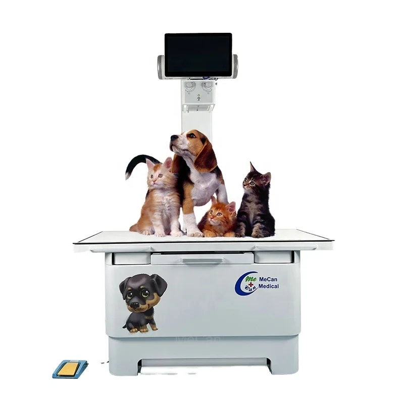 Dog Xray Machine Digital Veterinary X-Ray Equipment Portable X Ray Machine  for Animal