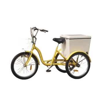 24 Inch Beach Tricycle Housekeeping Tricycle-Aluminum Tricycle for Resort Housekeepers