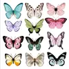 colorful buttyerfly wall sticker*5pcs